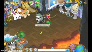 Animal Jam Giveaway [upl. by Enilav]