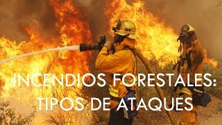 Incendios forestales tipos de ataques directos [upl. by Lotsyrc]