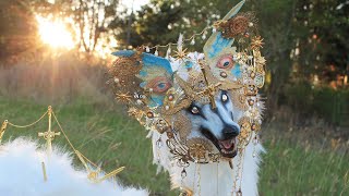 I Made a Biblically Accurate Borzoi Poseable Art Doll [upl. by Ycnan]