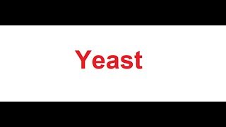 Yeast meaning in Hindi [upl. by Nevaj]