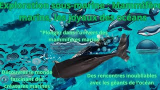 Plongée au cœur de locéan  Rencontre avec les stars des profondeurs  🌊🐋  Zoé amp Compagniequot [upl. by Hester836]