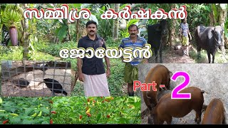 Part  2 സമ്മിശ്ര കർഷകൻ ജോയേട്ടൻസ് കൃഷി രീതികൾ  Mixed Farming  Krishi  Malayalam [upl. by Aonehc103]