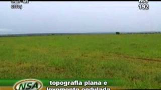 fazenda em Nova Andradina MS com 6400 ha [upl. by Ecnarretal]