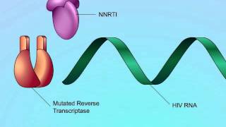 HIV Mechanisms of NNRTI Resistance [upl. by Trinity]