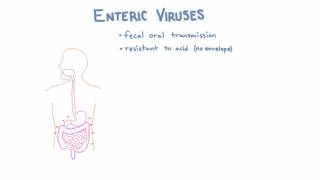 Introduction to Enteric Viruses [upl. by Barcot]