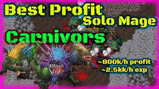 Best Profit for Solo Mage Carnivors 800kh profit  Tibia 2021 [upl. by Kellia]