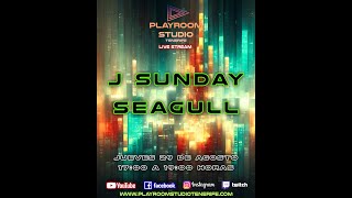 J SUNDAY  SEAGULL [upl. by Suilenrac]