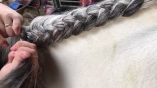 How to crest plait dutch [upl. by Valentin13]