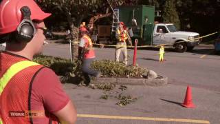 Health and Safety in Small Business Landscaping 5 of 5 [upl. by Osgood]