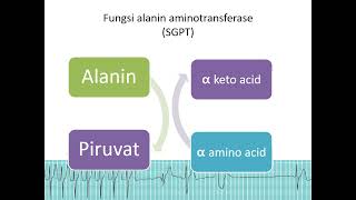 MEETING 2 PART 2 PATOFISIOLOGI SISTEM KARDIOVASKULER PART 2 MARKER BIOKIMIA 1 [upl. by Eima167]