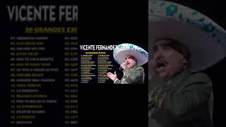 VICENTE FERNANDEZ MIX ROMANTICAS VIEJITAS PARA ADOLORIDOS LAS MEJORES RANCHERAS MEXICANAS [upl. by Gunner]