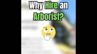 Why Hire an Arborist Part 6 [upl. by Skrap450]