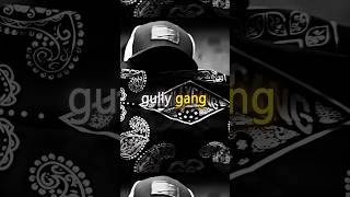 Gully Gang sub se hard parivaar 💯💥  divine divinenewsong divinesong gullygang rap shorts [upl. by Defant632]