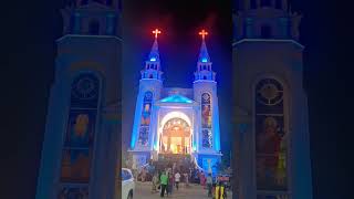 Besant Nagar velankanni mathastatus [upl. by Nnylyma]