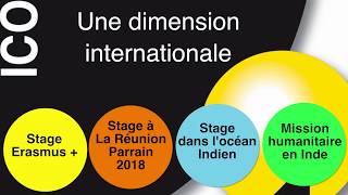 LICO  Une dimension internationale [upl. by Joanie]