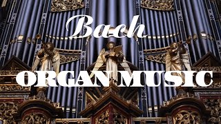 Bach  The Best Organ Music [upl. by Zane]