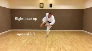 Jumps in Shotokan Kata [upl. by Madda]