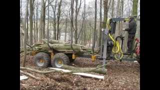 Steyr 4065 mit Källefall Rückewagen K90 und EigenbauFunkwinde [upl. by Gustie]