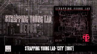 STRAPPING YOUNG LAD  Detox Album Track [upl. by Aliahs]