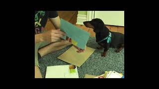 Crusoe Opens Fan Mail  Part 2 [upl. by Sowell83]