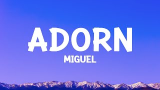 Miguel  Adorn Lyrics [upl. by Stevens]