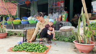 Harvest the lemon garden goes to the market sell  Duyên daily life [upl. by Catharine]