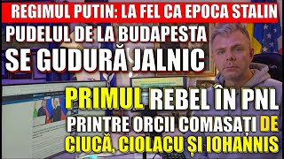 PRIMUL REBEL în PNL între ORCII COMASAȚI de Ciucă și Ciolacu PUDELUL Orban se GUDURĂ la NOUL STALIN [upl. by Arua]