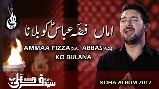 Farhan Ali Waris  Amma Fizza Abbas Ko Bulana  Noha  2017 [upl. by Gronseth170]