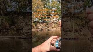 flyfishing troutbum happyplace nature river fishingmethods brooktrout [upl. by Aneeh]