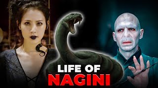 Story of Nagini How She Met Voldemort  Harry Potter Explained [upl. by Pederson59]