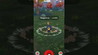 Pokémongo Roggenrola catch pokemongo​ pokemongoshorts​ pokémongo​ pokemongotipsandtricks [upl. by Marybelle]