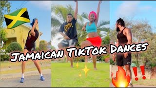 NEW JAMAICAN TIKTOK DANCE MASHUP 2024 [upl. by Llewxam857]