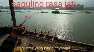 Ediian‼️ketika hujan turun ikan langsung gacor kaya mancing d kolam [upl. by Vern]