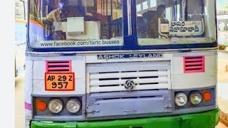 Panduga Roju Urellalsi vastey Basara Bhainsa Bus lo idi situation [upl. by Leanahtan]