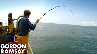 Gordon Ramsay Fishes amp Cooks Conger Eel  Gordon Ramsay [upl. by Haymo]