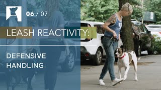 Dog Training Tips 3 Defensive Handling Maneuvers for Leash Reactive Dogs 67 [upl. by Nerrad]