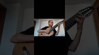 Le Papillon Op50 No3 Allegretto Part 1  Mauro Giuliani  10 String Guitar [upl. by Annaiuq635]