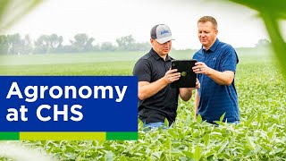 Our agronomy business at a glance [upl. by Avrenim]