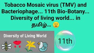 Tobacco mosaic virus and Bacteriophage 11th BioBotany Diversity in living world in tamil [upl. by Herod427]