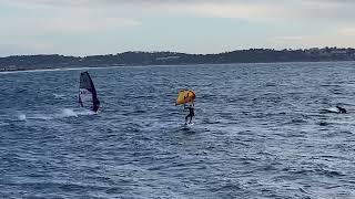 Windsurfing in winter  Almanarre [upl. by Ragan775]