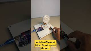 Grow plant in micro gravity using Arduino Clinostat arduino microgravity [upl. by Orlanta]