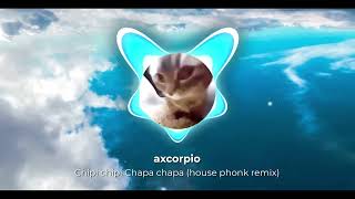 Chipi chipi Chapa chapa House phonk Remix [upl. by Lanette]