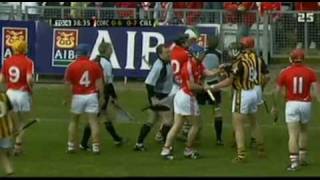 Cork v Kilkenny hurling fight [upl. by Aivatnuhs]