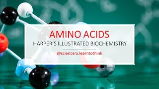 The Complete Guide To Amino Acids Everything You Need To Know Harpers Illustrated Biochemistry [upl. by Vookles]