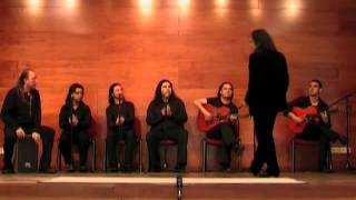 Noches de Flamenco  Noche gitana [upl. by Ranilopa]