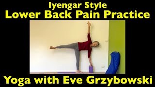 Iyengar Style Lower Back Pain Practice HD 720p [upl. by Amaty867]