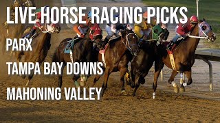 Live Horse Racing Picks  Parx  Tampa Bay Downs  Mahoning Valley [upl. by Pavlov]