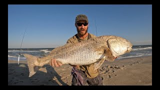 Catching Red Drum In The Surf NC [upl. by Elocan]