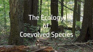 Tom Wessels The Ecology of Coevolved Species [upl. by Balch296]