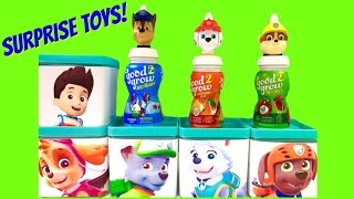 Paw Patrol Surprise Blind Boxes amp Good2Grow Surprise Bottles [upl. by Enilasor]